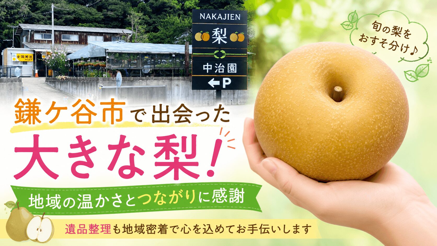 【鎌ケ谷市の遺品整理】驚くほど大きな梨！墓参りの帰りに感じた地域の温かさ